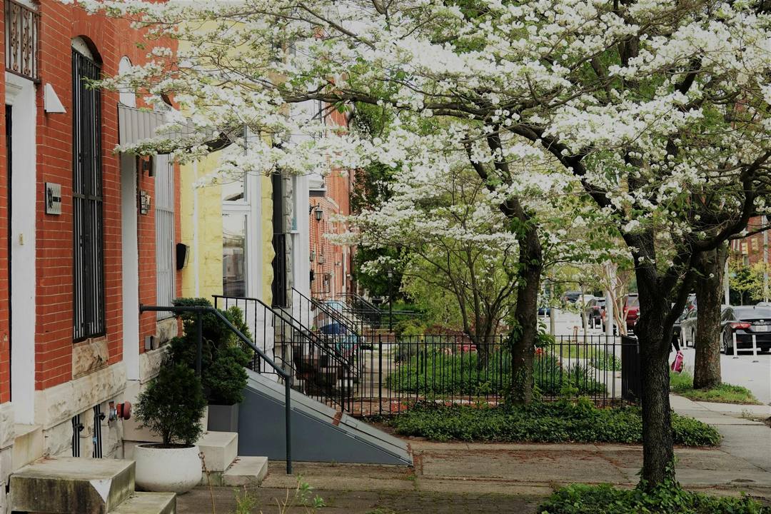 Brick rowhouses with iron stair rails on a Baltimore block